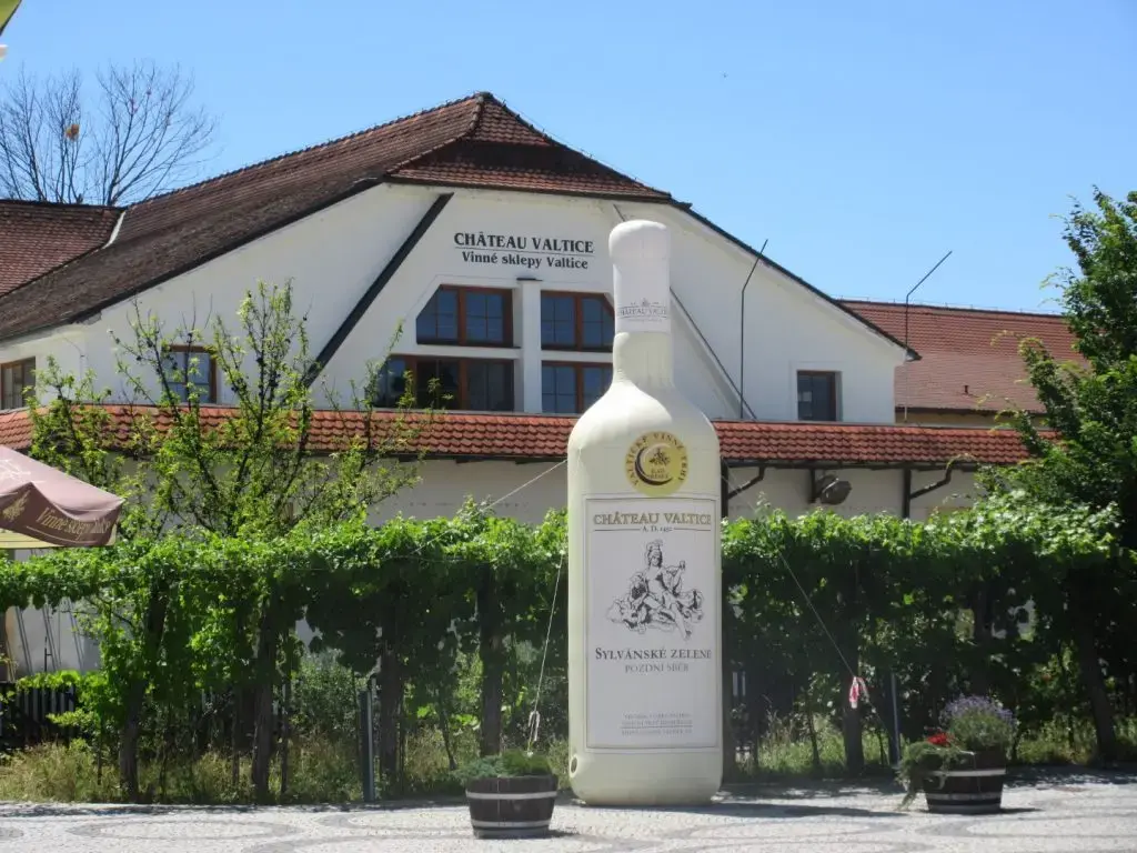 Zámek Valtice a Salon vín
